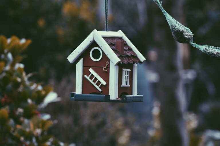 harper-van-mourik-0yfWDwHOB0g-unsplash (1)