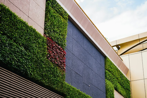 Building exterior with a green wall covered in lush plants