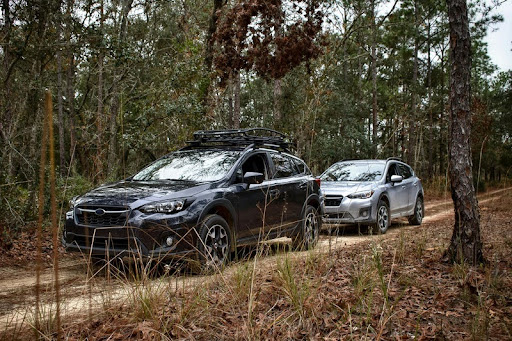 Two cars driving along a forest road