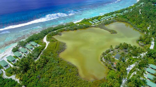 Aerial view of a quiet beach with gentle waves and soft sand