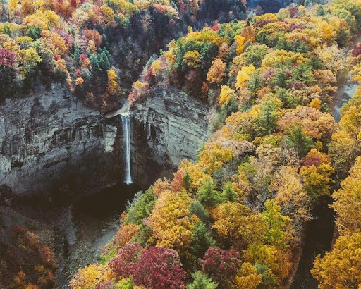 Waterfall flowing through a forest with vibrant autumn foliage.