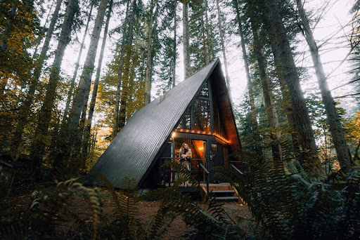 Modern Airbnb cabin surrounded by trees in a forest setting