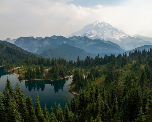 Snow-capped Mount Rainier with wildflower-covered meadows in the foreground