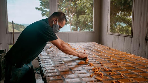 Person shaping bricks by hand at a manufacturing site.