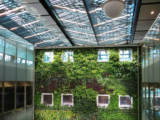 Building with green plants growing on exterior wall