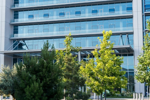 Modern commercial building with sleek glass façade surrounded by green trees, symbolizing sustainable architecture and eco-friendly design.